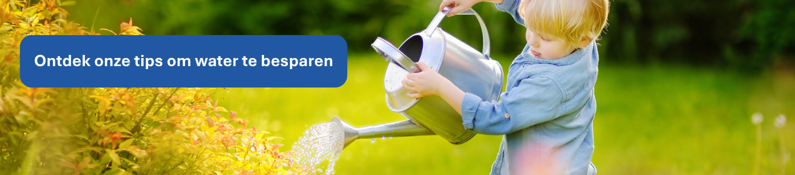 Ontdek onze tips om water te besparen