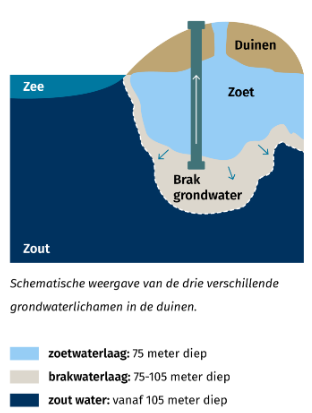 Brak water in duinen (bron: Dunea)