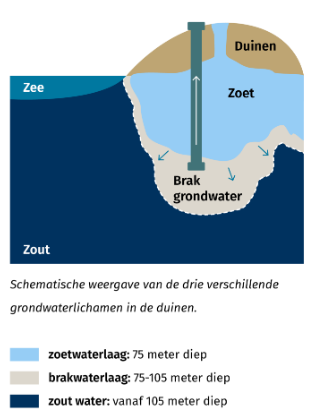 Brak water in duinen (bron: Dunea)