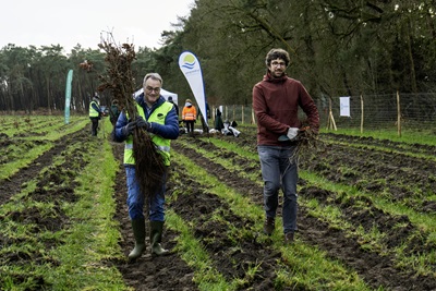 boomplantactie Kaprijke