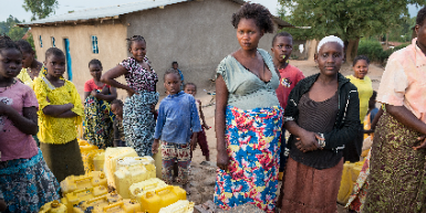 Congo - copyright Nick Hannes