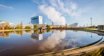 nieuws tiense watervelden