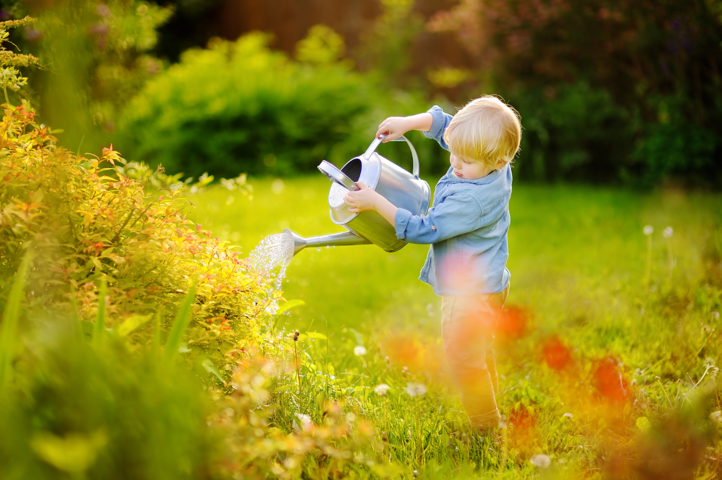 Kleine jongen geeft planten water met gieter